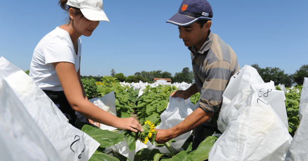 Creazione di un centro di R&D in Russia