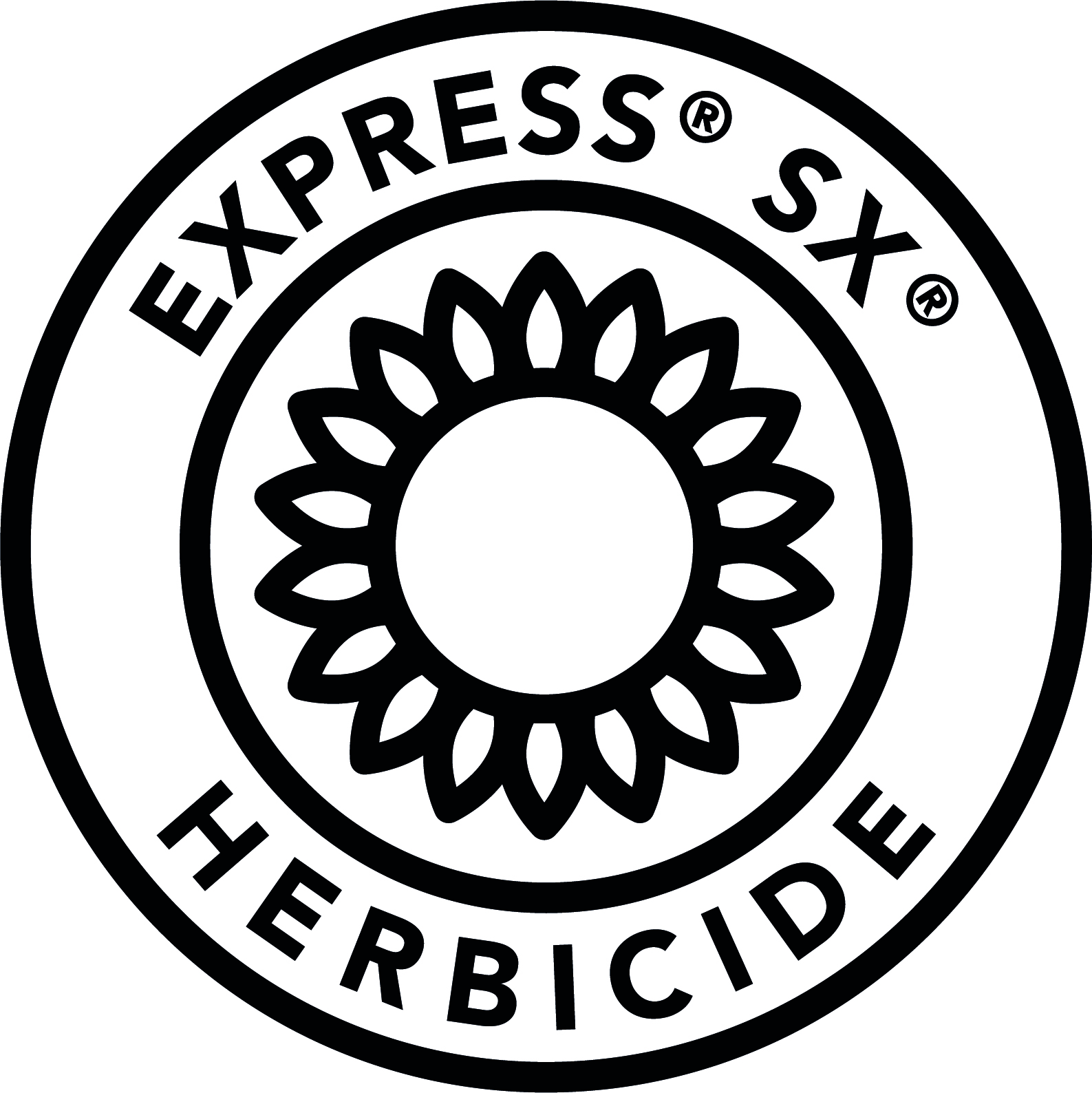 Express SX